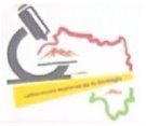 Relance – Recrutement d’un consultant pour la réalisation des travaux d’évaluation géologique des couloirs réservés à l’exploitation artisanale du diamant sur 100 km²
